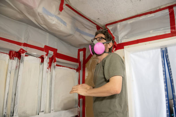 Best Mold Removal for HVAC Installations  in West University Place, TX