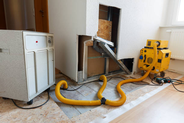 Mold Remediation for Rental Properties in West University Place, TX